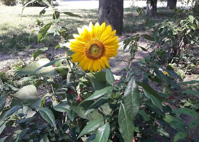 Albergue Valtrebbia Marsaglia (Emilia-Romagna)