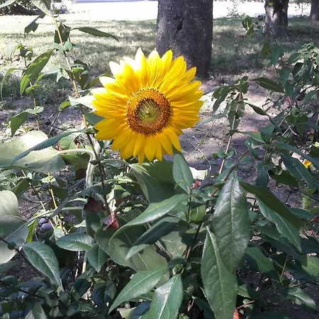 Hostel Valtrebbia Marsaglia (Emilia-Romagna)